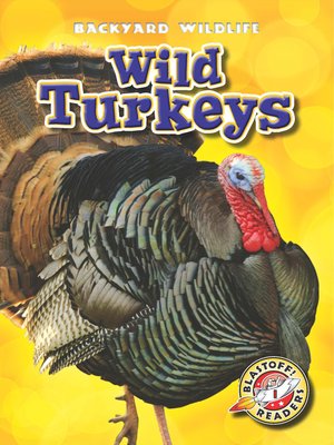 cover image of Wild Turkeys